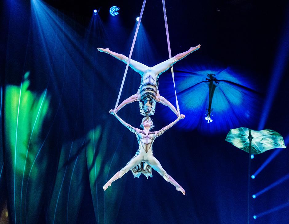 Cirque du Soleil, OVO | Avtor: Cirque du Soleil