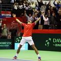Novak Đoković Srbija Davisov pokal