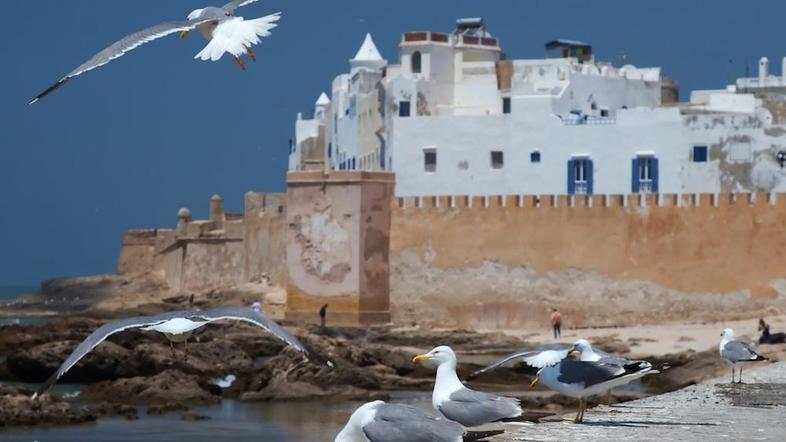 Essaouira, Maroko