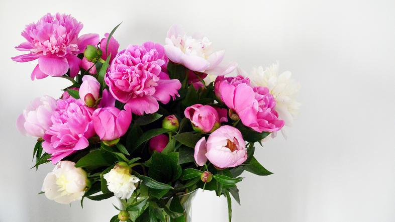 rože, šopek, darilo