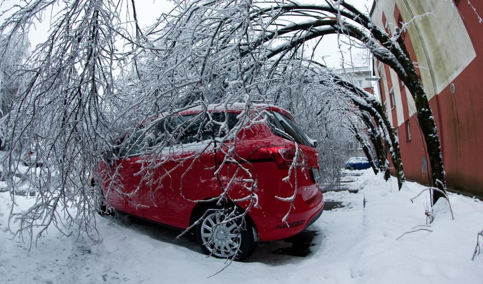Zimsko vreme se nadaljuje, v delu države možen žled