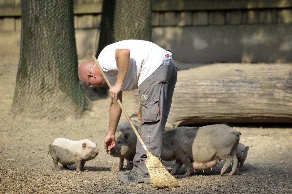 Živalski vrt Ljubljana