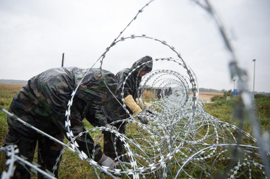 Pince | Avtor: Anže Petkovšek