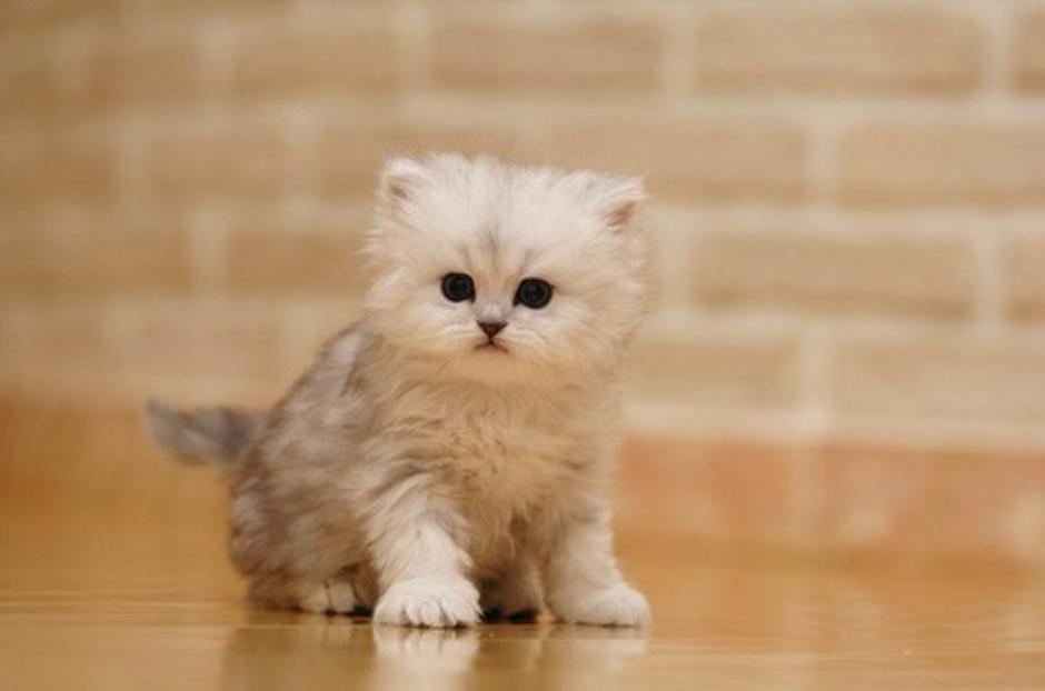 Mucka | Avtor: Profimedias