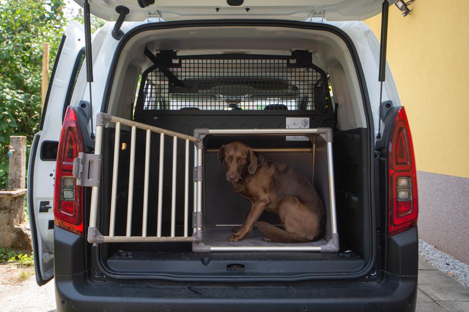 prevoz psa | Avtor: Anže Petkovšek