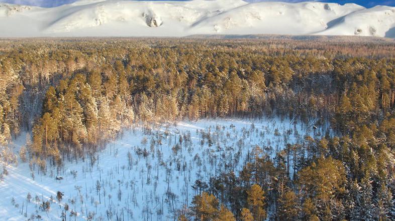 Zahodna Sibirija, Rusija