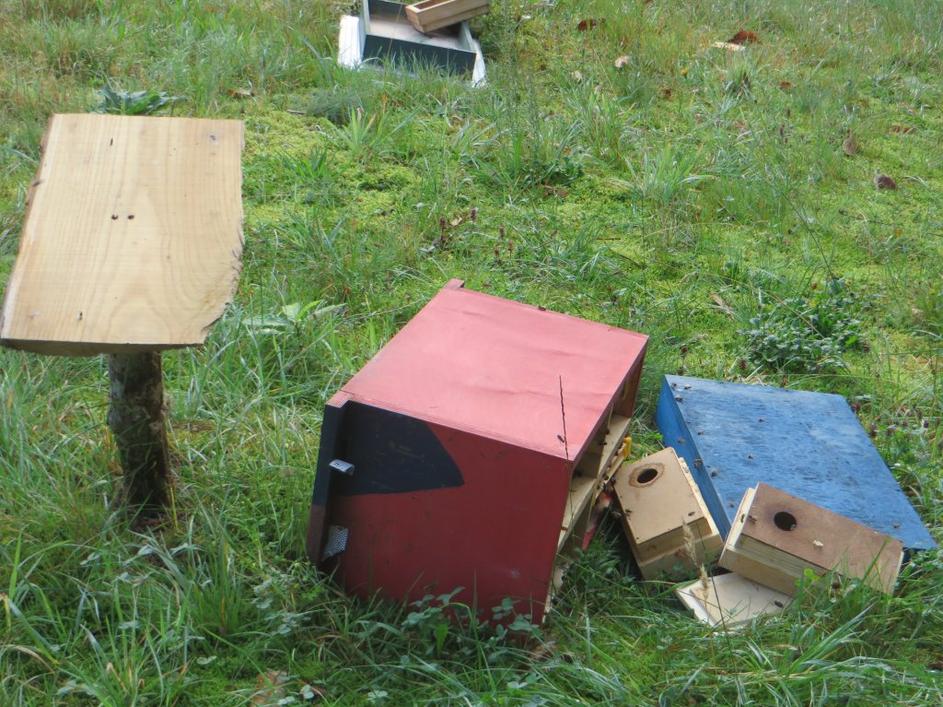 Razdejanje po obisku medveda