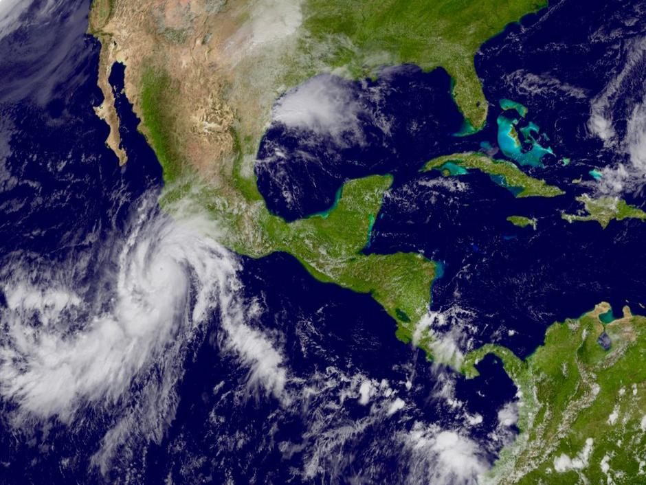 Patricia | Avtor: Profimedias