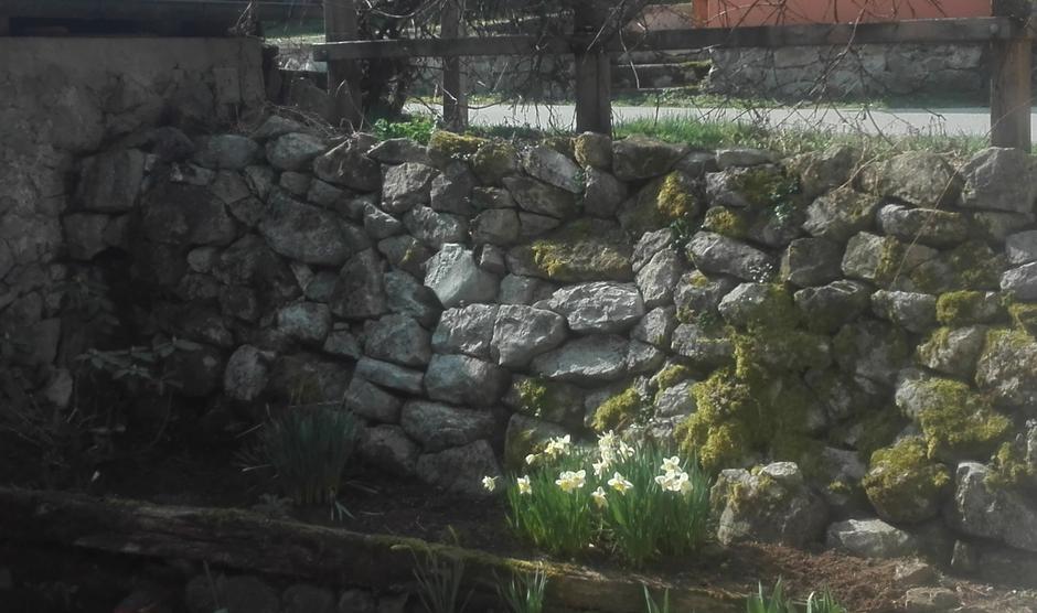 ograja | Avtor: Žurnal24 