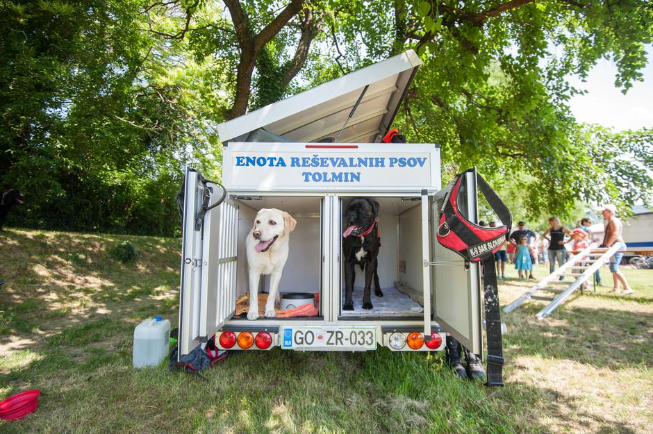 Festival za ljubitelje živali v Novi Gorici | Avtor: Anže Petkovšek