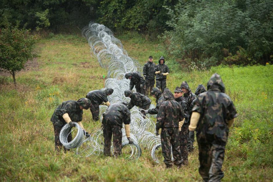 Pince | Avtor: Anže Petkovšek