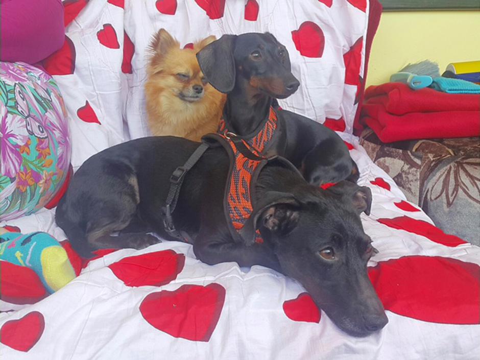 Chanel | Avtor: strokovnjakinja za psihološko zdravljenje motenj spanja dr. Vita Štukovnik