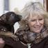 Camilla, vojvodinja Cornwalla