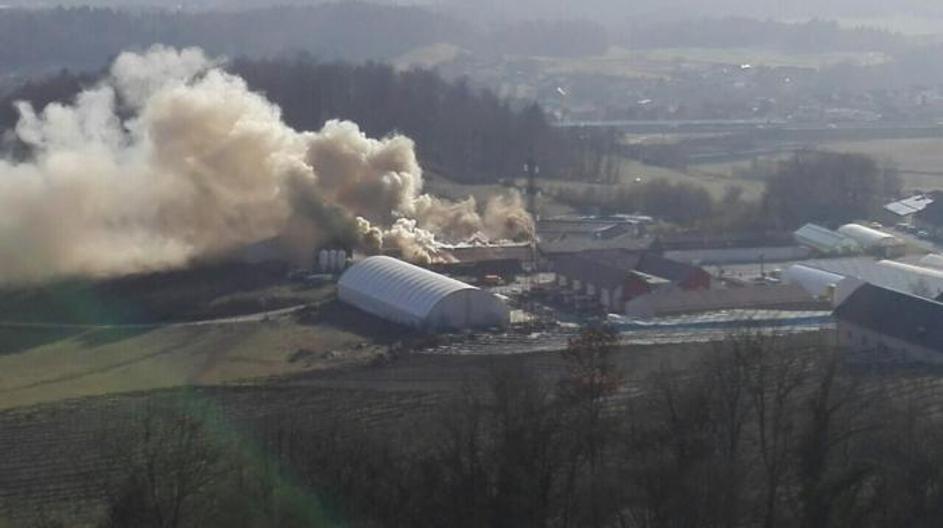 požar Grm Novo mesto