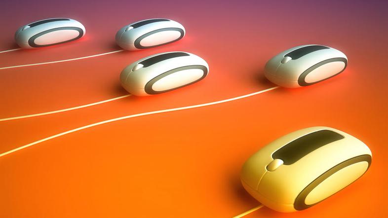 Kdo bo koga? (Foto: Shutterstock)