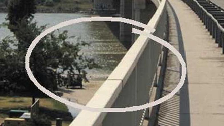 Hudo ranjeno deklico so našli pod mostom na obali Donave.