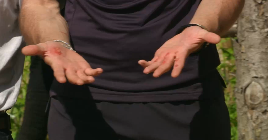 kmetija | Avtor: Voyo