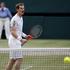 Andy Murray Wimbledon polfinale