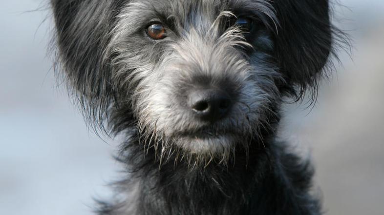 Organizatorji akcije se za donacije zahvaljujejo vsem sodelujočim. (Foto: Shutte