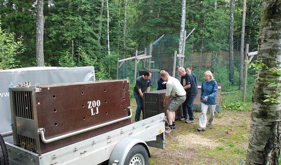 Iz živalskega vrta sporočili žalostno novico