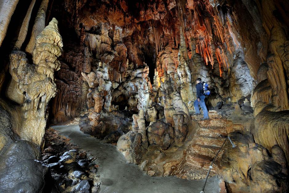 Divaška jama | Avtor: Borut Lozej