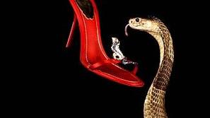 Rdeče sandale Reneja Caoville je imela v Harrodsu pod nadzorom strupena kobra.