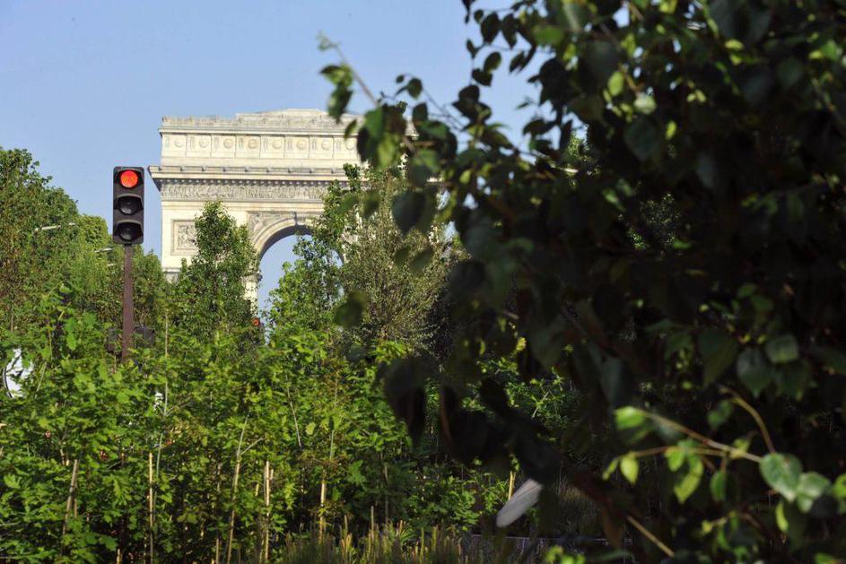 Teroristi z Arabskega polotoka naj bi se usmerili v Francijo. (Foto: Reuters)