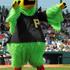 Pirate Parrot (Pittsburgh Pirates)
