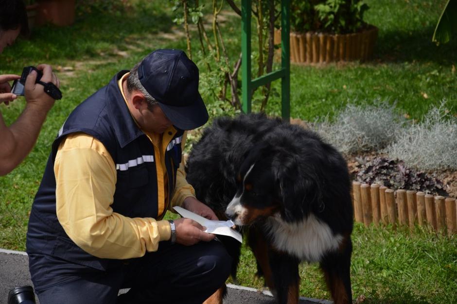 Akcija poštar in pes prijatelja | Avtor: MayerMcCann