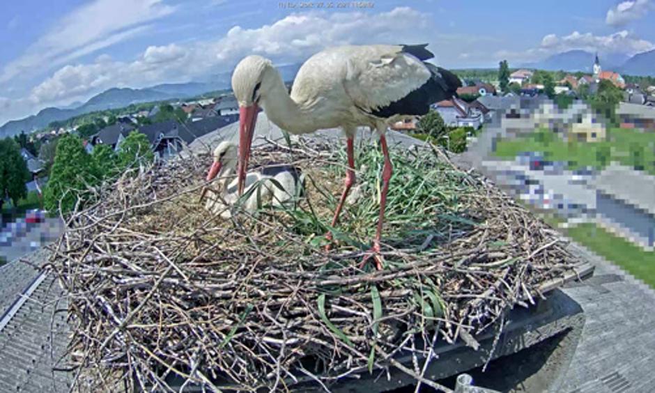  | Avtor: OŠ Predoslje Kranj