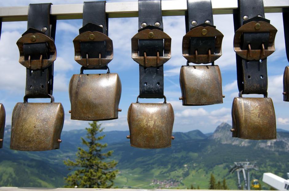 Kravji zvonci | Avtor: Profimedias