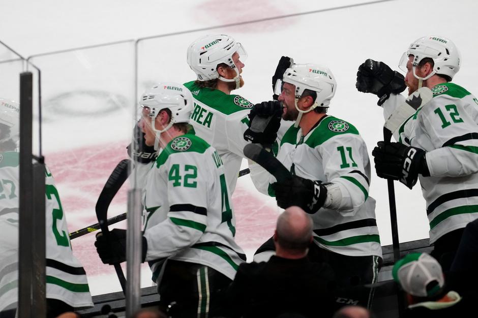 Dallas Stars | Avtor: Profimedia