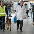 psi na letališču