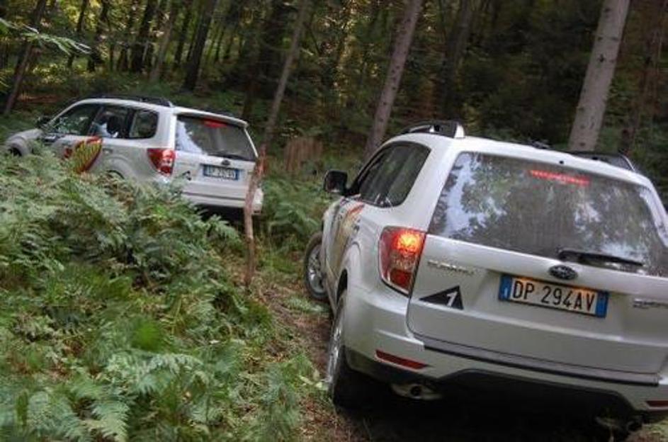 V idiličnem naravnem okolju, le slaba dva kilometra oddaljenem od najpomembnejše