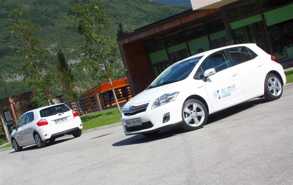 Letos naj bi jih prodali 25, večino s končnico sol v imenu. (Foto: Miha Pečoler)