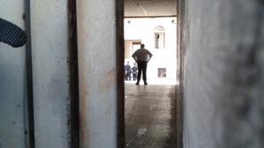 Petrovčič na sodišče