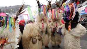 Zlata lisica Maribor 2010 veleslalom kurenti navijači