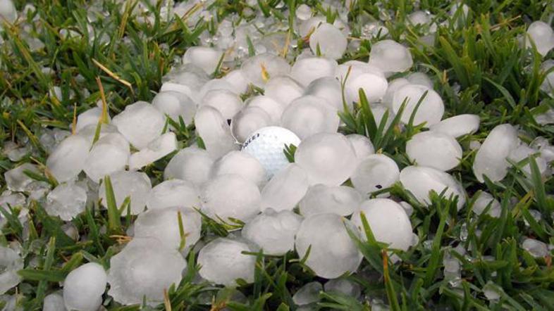 (Foto: Naša bralka)