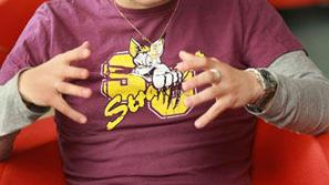 naber13_tzsce_spm_130509