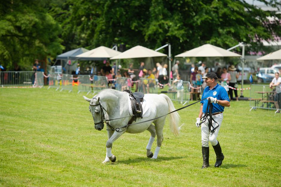 Festival za ljubitelje živali | Avtor: Anže Petkovšek
