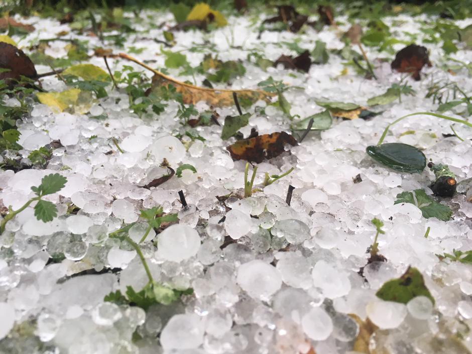 Sodra in toča na Goriškem | Avtor: Bralka