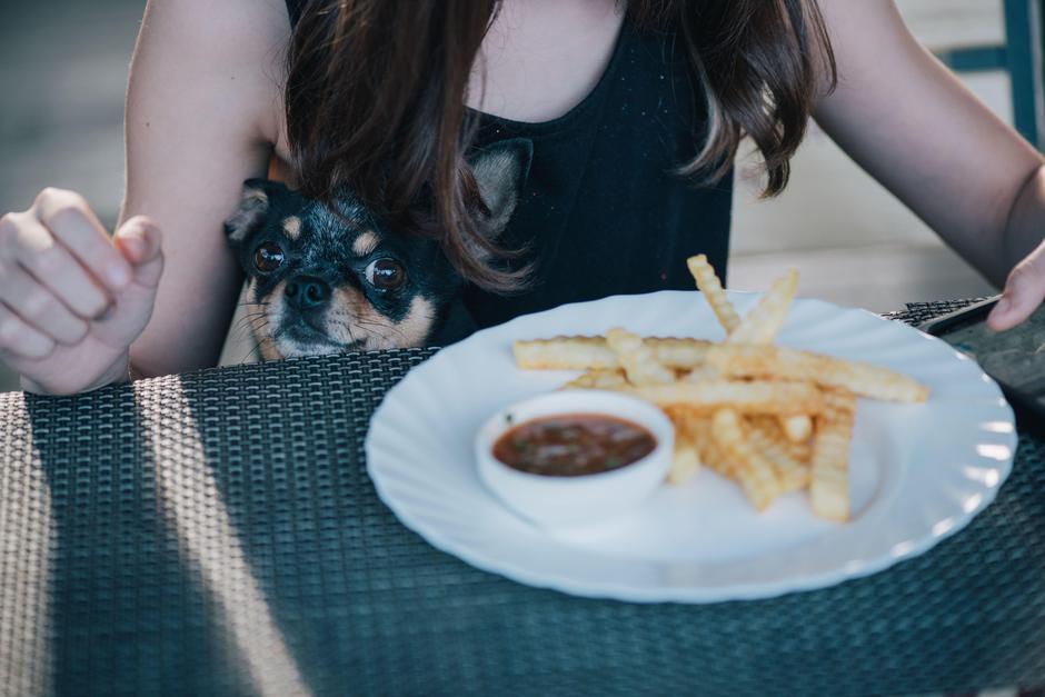 Lakota | Avtor: Profimedia