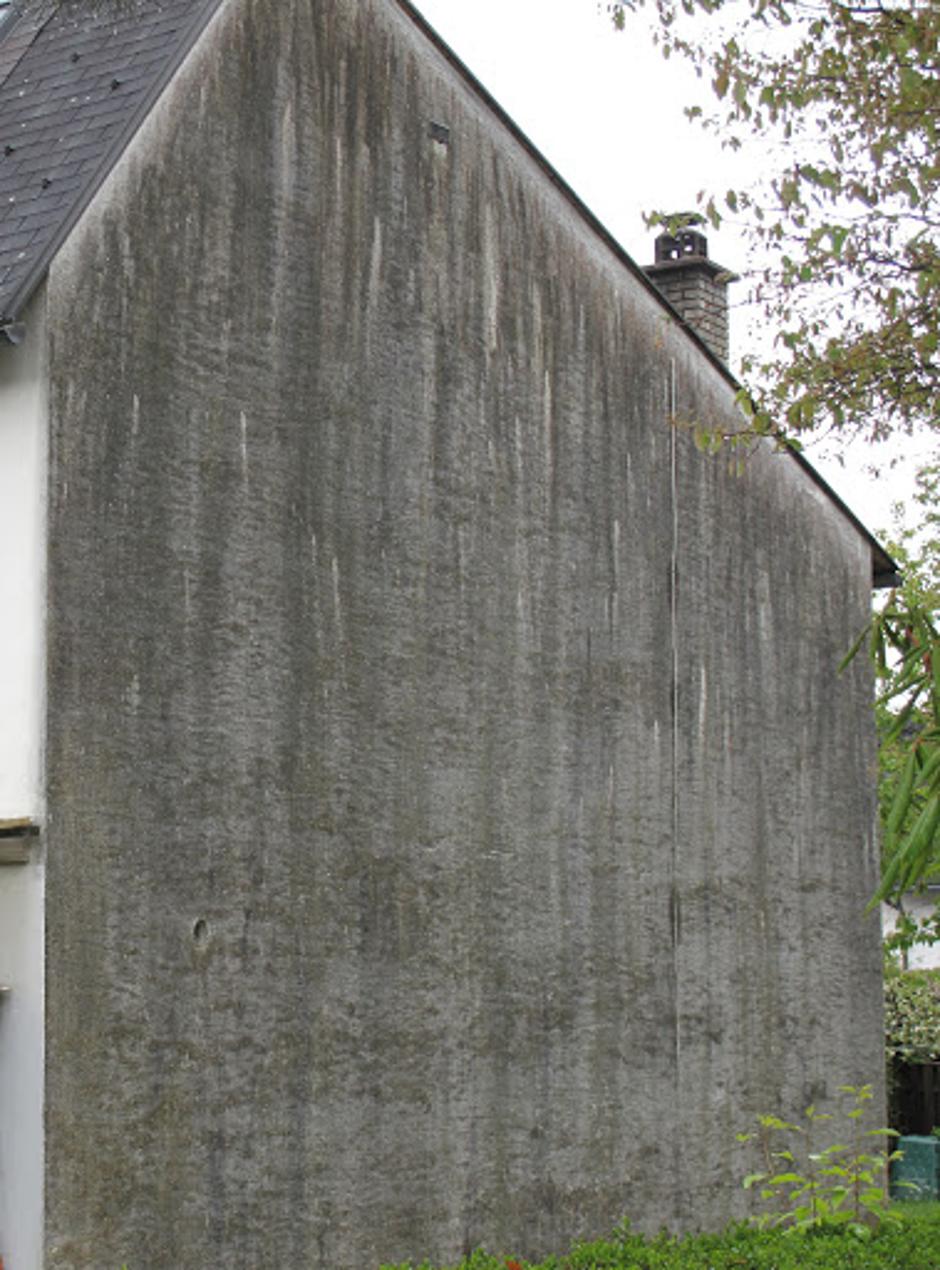 alge na fasadi | Avtor: arhiv Nep.Vitra