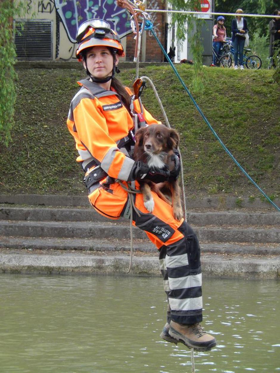 reševalni psi | Avtor: Marko Bručan