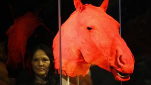 Konjska glava prikazuje žilni sistem živali.