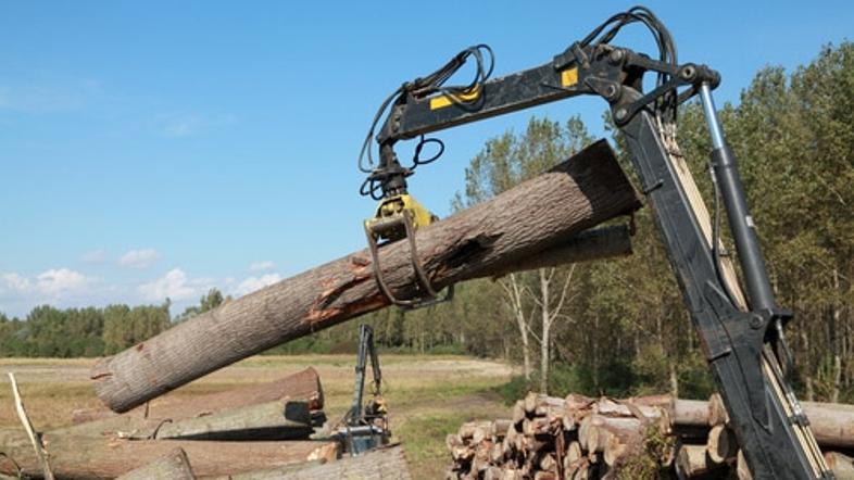 dolenjska 27.06.11. gozd, secnja, gozdarski stroj, mehanizacija, foto: shutterst