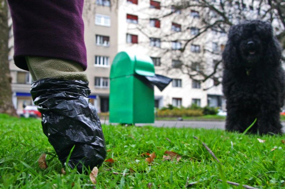 pasji iztrebki | Avtor: Jure Tomc