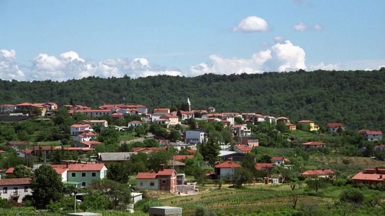 Škofije