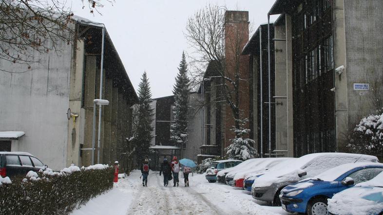 Na Osnovni šoli Bršljin so malico pripravljali tudi iz živil s pretečenim rokom.