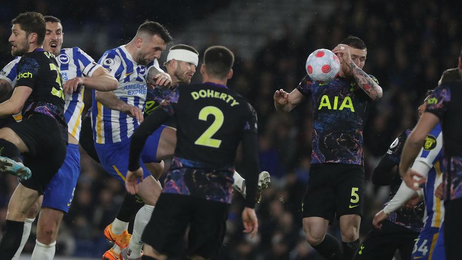 Brighton & Hove Albion Tottenham Hotspur | Avtor: Reševalni pas/Twitter